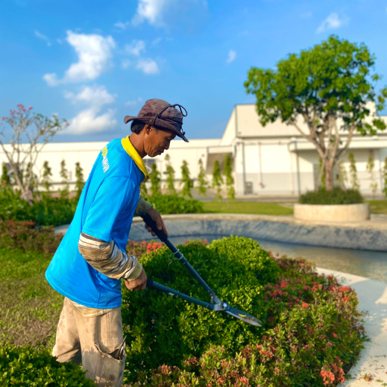 Dịch vụ Chăm sóc Cây cảnh tại Khuôn viên Nhà máy Khu công nghiệp Sông Hậu