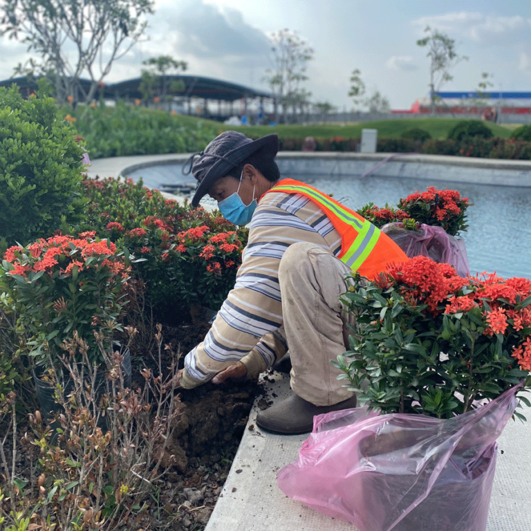 Dịch vụ Chăm sóc cây cảnh kèm vệ sinh định kỳ tại Khu công nghiệp