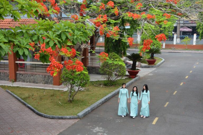 Ảnh: Trường học tại Đồng Tháp (Ảnh sưu tầm internet)
